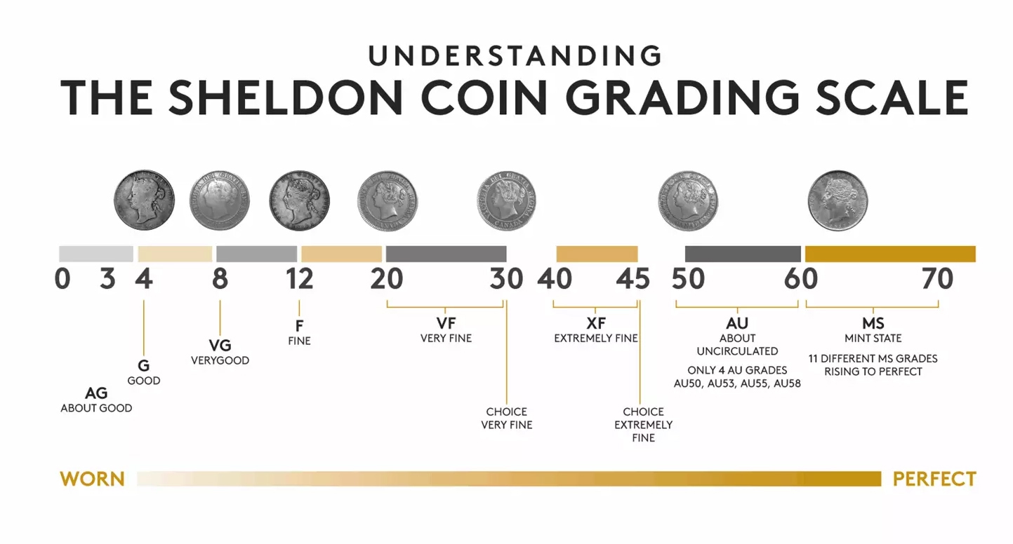 grade coins